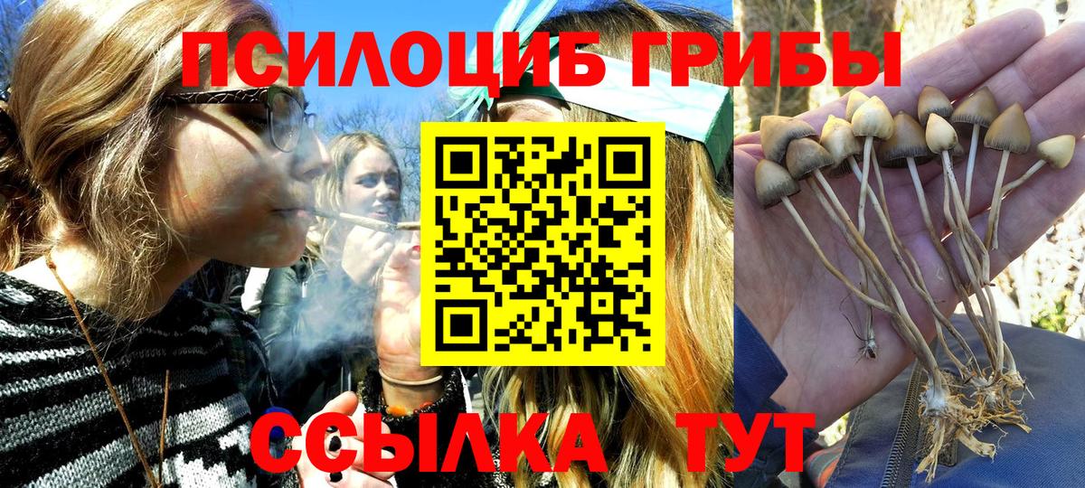 Галлюциногенные грибы MAGIC MUSHROOMS Холмск